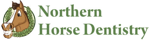 Northern Horse Dentistry